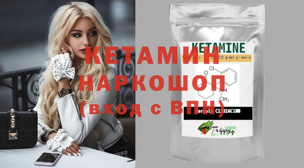 крисы Алексин