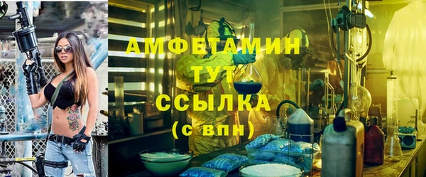 крисы Алексин
